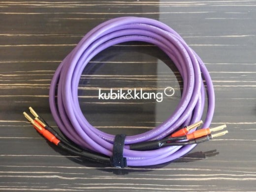 MDSC 2530 Purple Rain