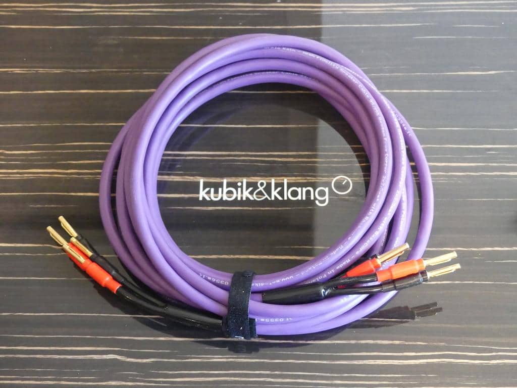 MDSC 2530 Purple Rain