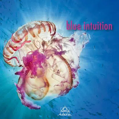 Blue Intuition